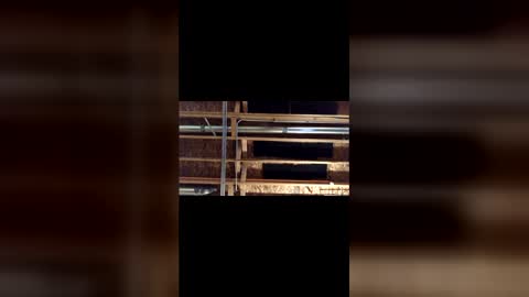 Snapshot of jamie19905 chatting on 03/04/26, 03:45 jamie19905 online show from 03/04/26, 03:45