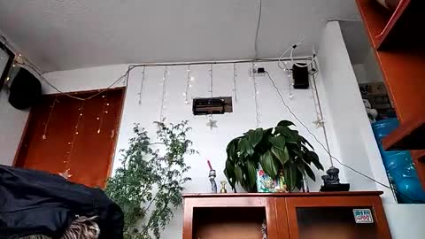 janariivera1 online show from 02/11/26, 02:44