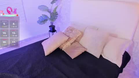    online show from 07/21/26, 08:11