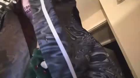 jasper1thewhor3 online show from 10/25/25, 05:04