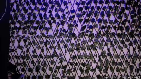 JKing  online show from 09/11/25, 11:05