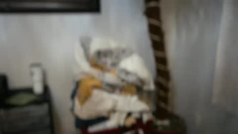 JAV online show from 04/15/26, 02:29