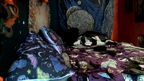 Snapshot of jax_skyfallin chatting on 02/12/25, 10:46 jaxxx666 online show from 02/12/25, 10:46