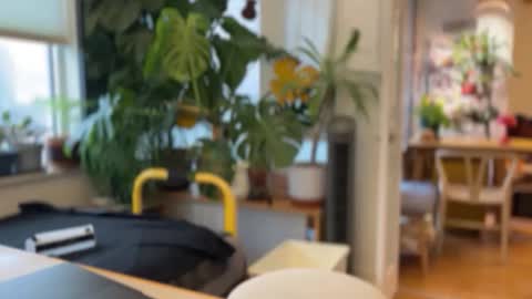 jaxz29 online show from 02/20/26, 08:20