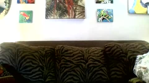 jay-jay1475 online show from 03/08/25, 06:05