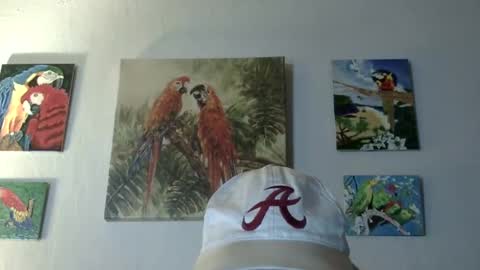 jay-jay1475 online show from 03/12/25, 09:45