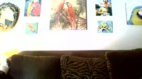 jay-jay1475 online show from 11/17/25, 06:46