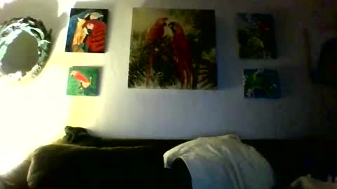 jay-jay1475 online show from 01/31/26, 10:08