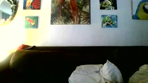Snapshot of jay_jay1475 chatting on 05/07/26, 05:40 jay-jay1475 online show from 05/07/26, 05:40