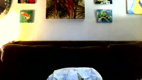 Snapshot of jay_jay1475 chatting on 07/23/26, 06:50 jay-jay1475 online show from 07/23/26, 06:50