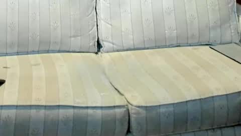 O F   jay short786 online show from 01/12/26, 12:49