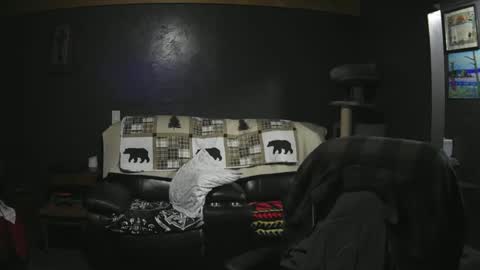 Grand Zaddy or Jay its casual online show from 09/21/25, 02:57