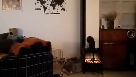 Snapshot of jaycat73 chatting on 01/31/25, 11:45 jaycat73 online show from 01/31/25, 11:45