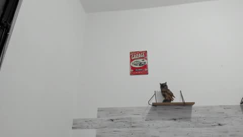 Jaycreedd online show from 10/25/25, 12:07