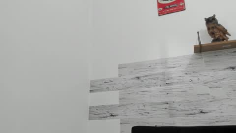 Jaycreedd online show from 11/16/25, 05:51