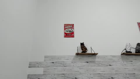 Jaycreedd online show from 11/30/25, 08:13