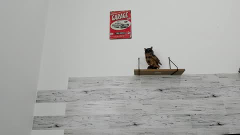 Jaycreedd online show from 03/03/26, 05:08