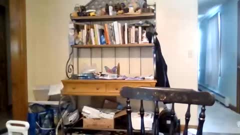 jaythenorth online show from 02/11/26, 04:56