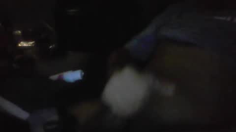 jaywulf22 online show from 01/17/26, 05:23