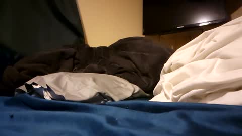 jd19852 online show from 12/27/24, 11:31