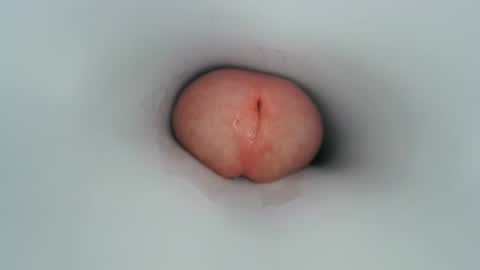 jeffrodgerschaturbat online show from 01/12/25, 10:12