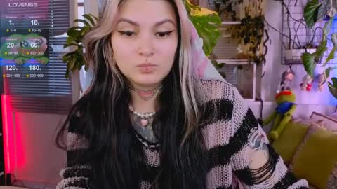 Jelya online show from 03/31/26, 11:54