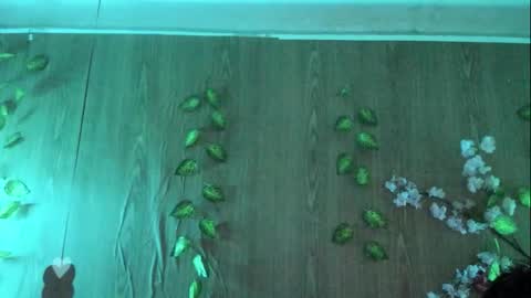 Jenelotizz online show from 09/27/25, 06:24