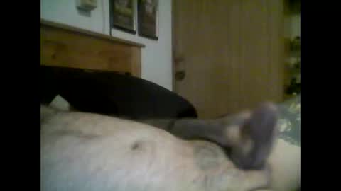 jerkmate6666 online show from 09/16/25, 11:50