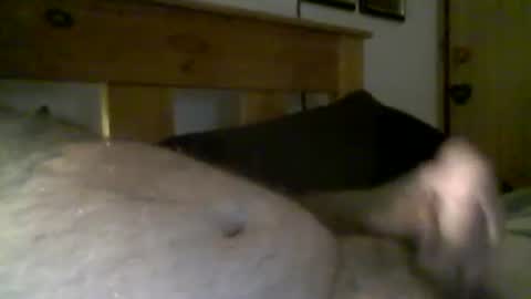 jerkmate6666 online show from 03/16/26, 08:18