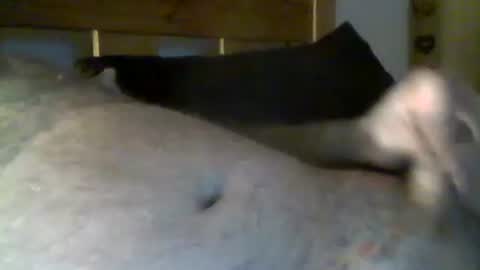 jerkmate6666 online show from 05/01/26, 10:36