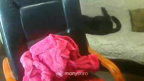 jessjess4you online show from 02/02/25, 06:04