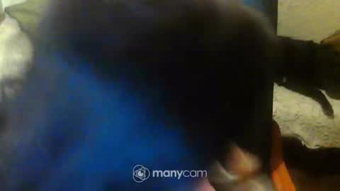 jessjess4you online show from 02/15/25, 11:47