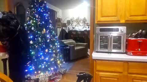 seductress Cyber Succubus online show from 12/18/25, 10:16