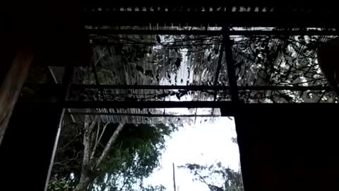 jesuyave online show from 04/19/26, 05:45