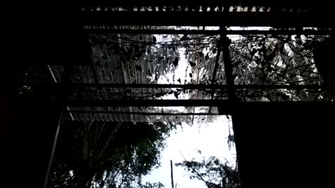 jesuyave online show from 04/19/26, 06:10