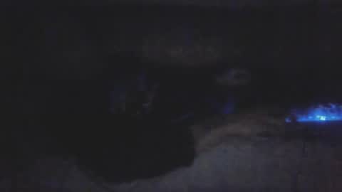 jetjon762844 online show from 02/09/26, 10:41