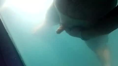 Snapshot of jettin36 chatting on 03/20/26, 11:59 Uncut thick 5 online show from 03/20/26, 11:59