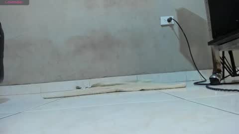 Snapshot of jharol_cardona chatting on 02/13/25, 04:11 Jharol  online show from 02/13/25, 04:11