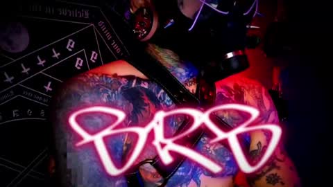 Snapshot of jhonny_ackerman chatting on 12/11/24, 09:12 jhonny_ackerman online show from 12/11/24, 09:12