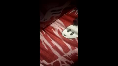 jhonteilorleonramirez277 online show from 03/22/26, 11:19