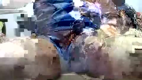 jimii281 online show from 03/25/26, 08:15