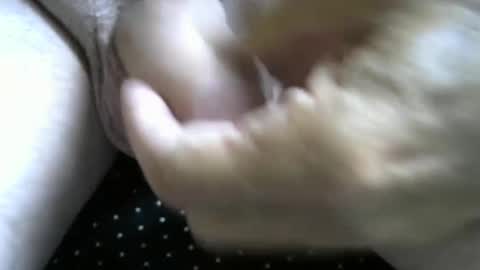 Snapshot of jimismiles chatting on 10/07/25, 06:16 jimismiles online show from 10/07/25, 06:16