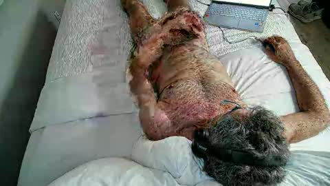 jimjimjim2633 online show from 04/02/26, 12:52