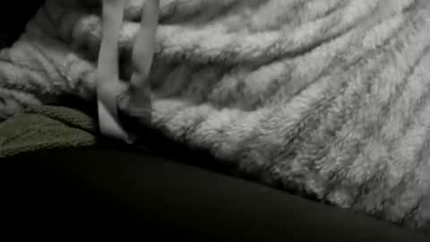 Snapshot of jimmiguel12345678 chatting on 12/25/24, 02:14 jimmiguel12345678 online show from 12/25/24, 02:14