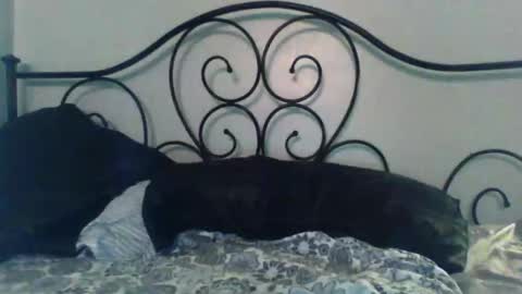 Snapshot of jimz169 chatting on 05/03/26, 02:06 Jimz14u online show from 05/03/26, 02:06