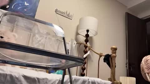 meng meng online show from 02/04/26, 02:45