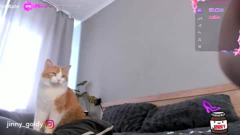 MY NEW INSTA jinny goldy online show from 02/15/26, 07:51