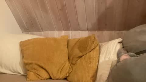 Kitty online show from 11/26/25, 07:15