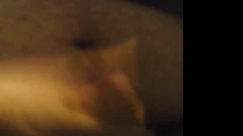 Snapshot of jkburrows035 chatting on 02/21/26, 06:25 firejoepro2 online show from 02/21/26, 06:25