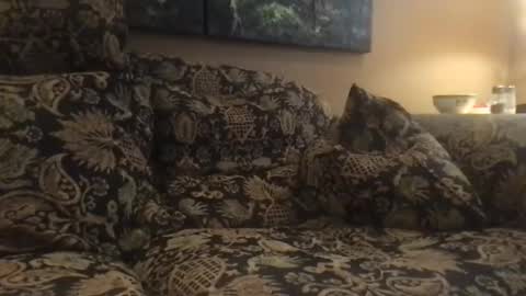 jlk7777 online show from 12/04/24, 07:01